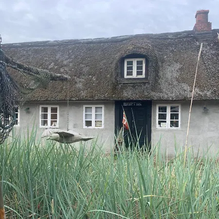 Vendégház Farm61 Badehotellet I Det Midtjydske - Alder +18 Ar