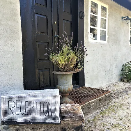 בית הארחה Farm61 Badehotellet I Det Midtjydske - Alder +18 Ar 2*