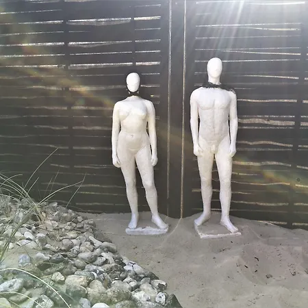 בית הארחה Farm61 Badehotellet I Det Midtjydske - Alder +18 Ar Tjele