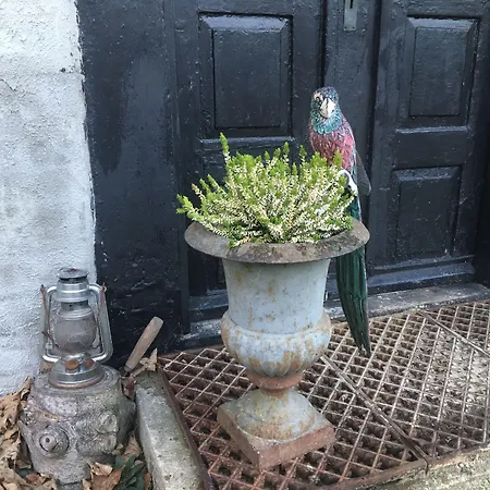 בית הארחה Farm61 Badehotellet I Det Midtjydske - Alder +18 Ar 2*