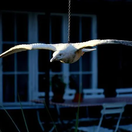Affittacamere Farm61 Badehotellet I Det Midtjydske - Alder +18 Ar
