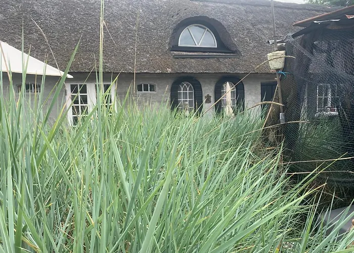 Farm61 Badehotellet I Det Midtjydske - Alder +18 Ar 2* Tjele